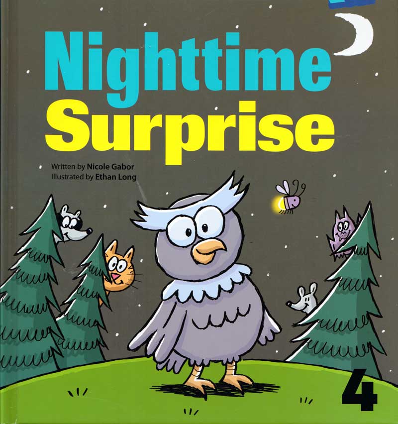 Nighttime Surprise cover art
